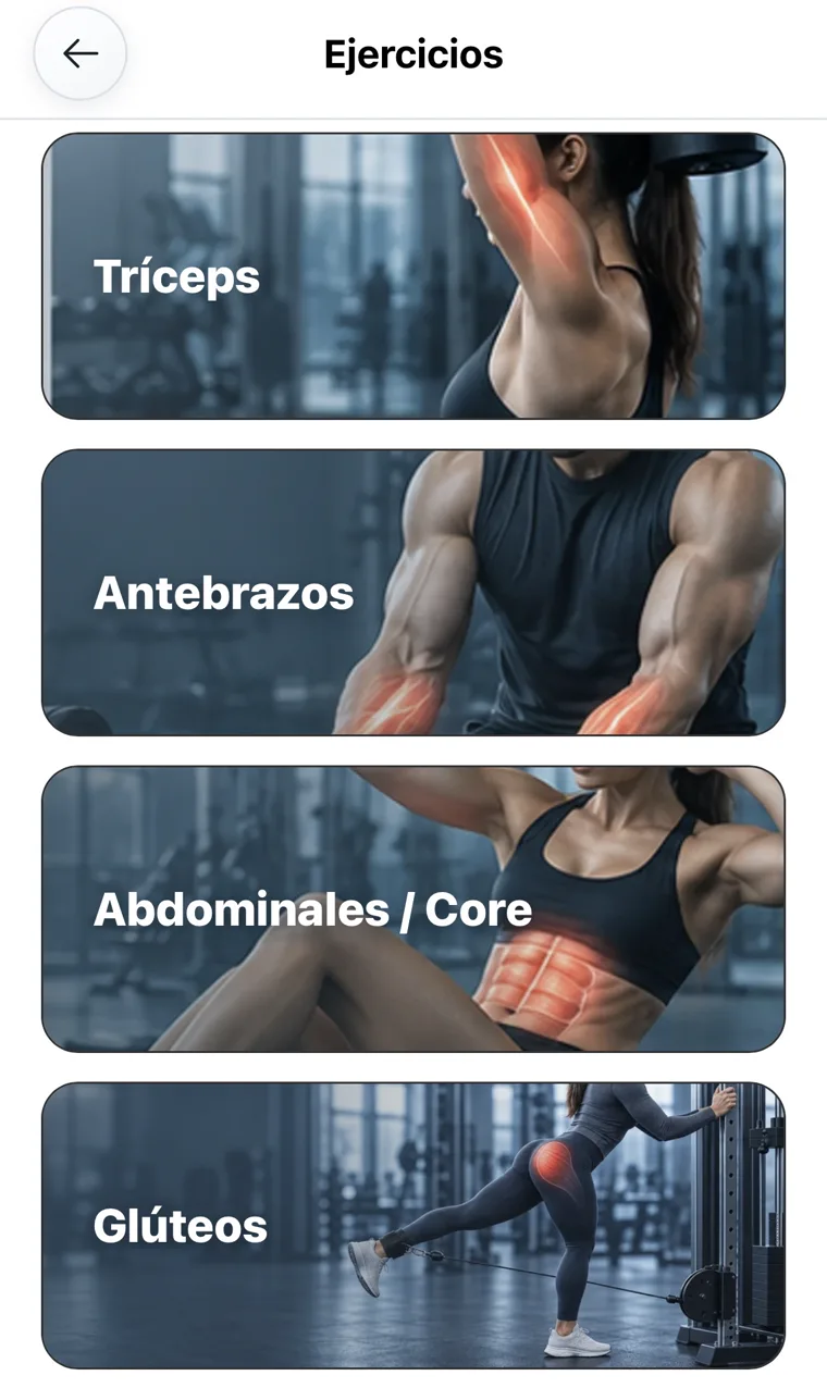 Categorías de tríceps, antebrazos, abdomen y glúteos